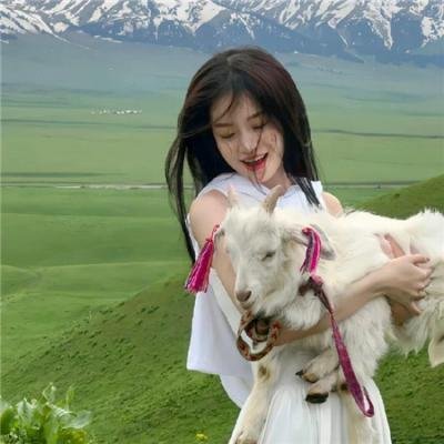 空想的机械们里破坏的发明